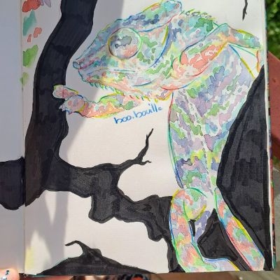 Chameleon
