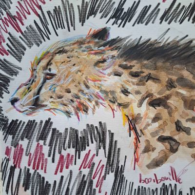 Le guépard 