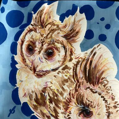 Le hibou