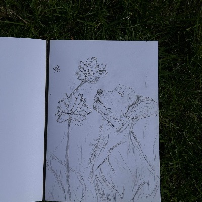 Dessin
